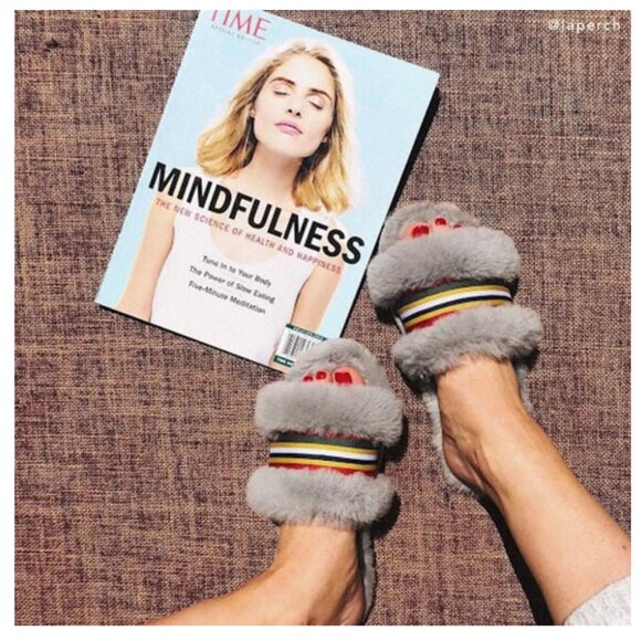 EMU AUSTRALIA Sheepskin Wrenlette Cozy Slide Slippers Grey Sz.8 - Picture 1 of 11